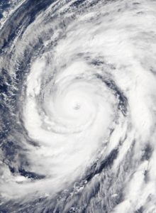 typhoon hagibis